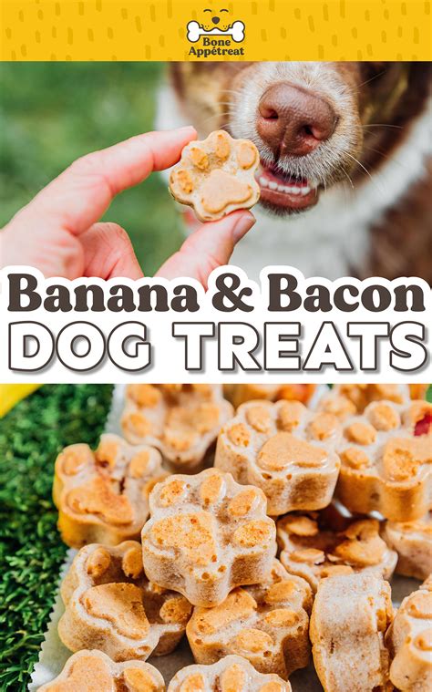 How To Make Bacon Dog Treats (They're Healthy!) | Bone Appetreat