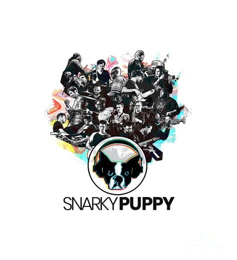 Snarky Puppy Band tour 2023 Digital Art by Rain Store - Pixels