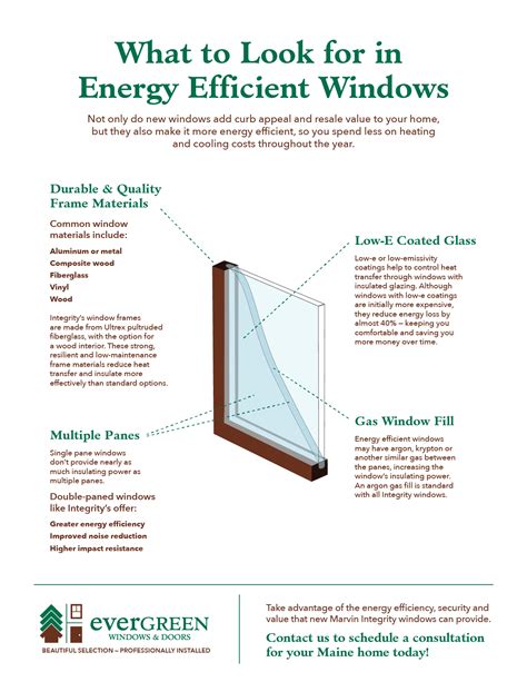 What To Look For In Energy Efficient Windows | Evergreen Home Performance