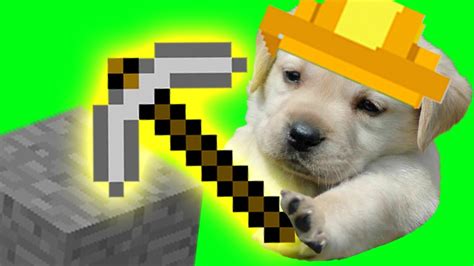 Minecraft how to treat your pets. Minecraft Blog