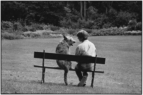 Dogs by Elliott Erwitt | Elliott erwitt, Elliott erwitt photography, Magnum photos