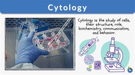 Cytology Definition and Examples - Biology Online Dictionary