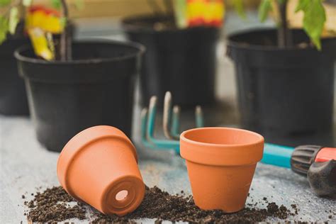 How To Prepare Soil For Planting In Pots | Gardening Tips