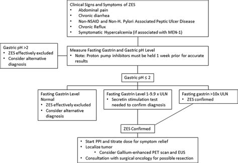 Algorithm for the diagnosis and evaluation of Zollinger... | Download Scientific Diagram