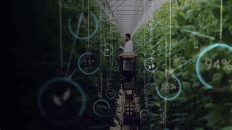 Indoor Vertical Farming