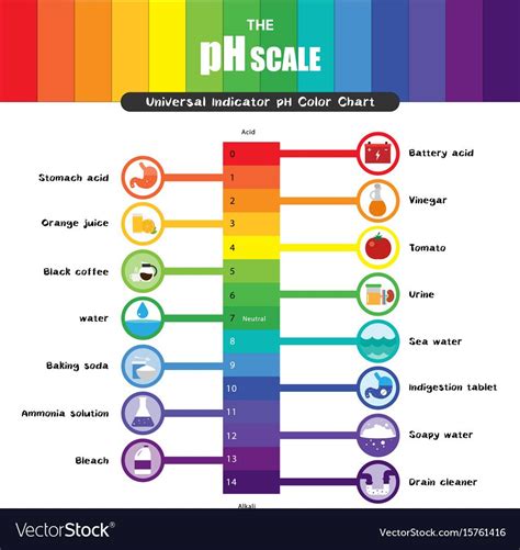 Ph scale universal indicator color chart vector image on VectorStock | Teaching chemistry ...