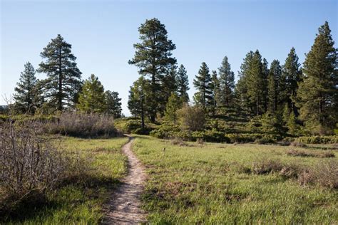 How to Day Hike the West Rim Trail in Zion National Park – Earth Trekkers