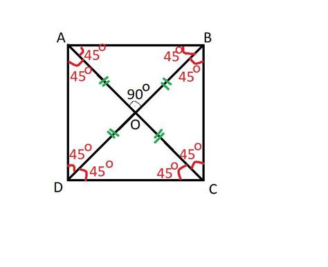 Cum sunt diagonalele intr-un patrat? - Brainly.ro