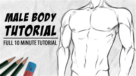 Divine Info About How To Draw Male Anatomy - Airportprize