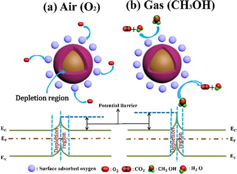 Methanol sensor mechanism (a) in air and (b) in methanol. | Download Scientific Diagram