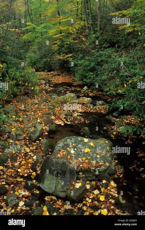 Bear Run, Bear Run Nature Reserve, Pennsylvania Stock Photo - Alamy