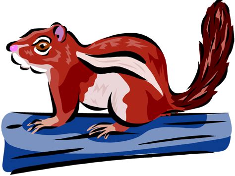 Free Chipmunk Clipart