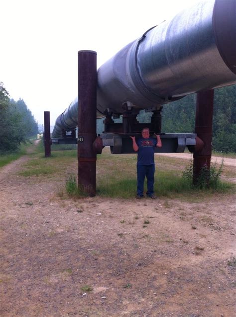 Holding up the Alaskan Pipeline.... | Alaskan pipeline, Vacation, Alaskan