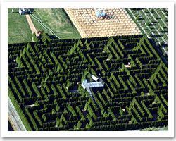 Hedge Maze | Aerial view, Seatac, Vacation wishes