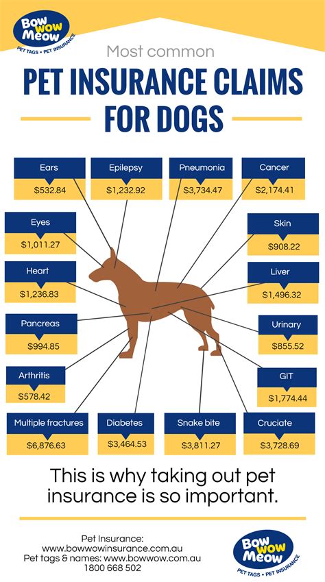 Dog Insurance - Health Insurance Claims For Dog Insurance