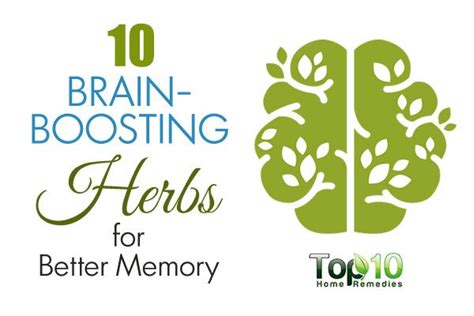 10 Brain-Boosting Herbs for Better Memory | Top 10 Home Remedies