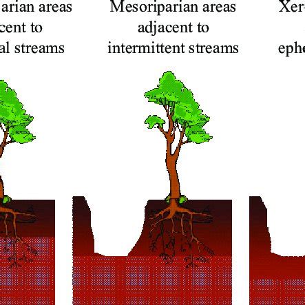 (PDF) Riparian Areas of Greece: Their Definition and Characteristics