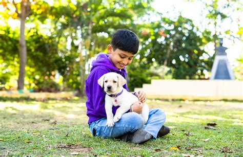 How to Take Care of Pet Animals: Tips and Tricks for Children