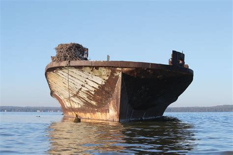 Mallows Bay Ghost Fleet Declared a National Sanctuary