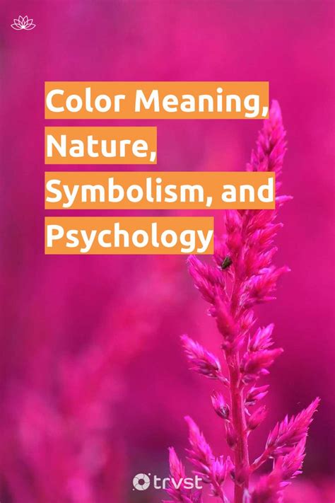 Color Meaning, Nature, Symbolism, and Psychology | Color meanings ...