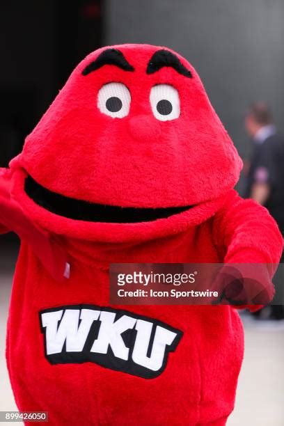 90 Western Kentucky Hilltoppers Mascot Stock Photos, High-Res Pictures, and Images - Getty Images