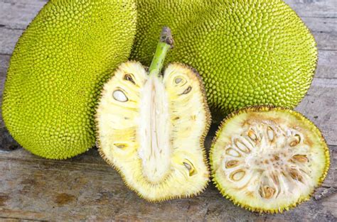 Jackfruit Recipes, Taste & Health Benefits | Mind Over Munch