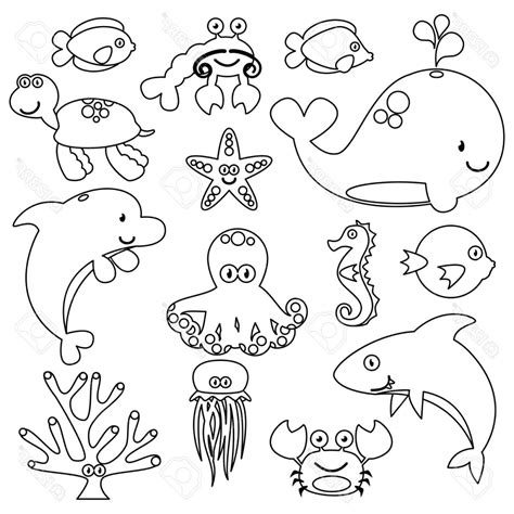 Marine Animals Drawing at GetDrawings | Free download