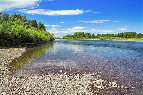 Abakan - Bilder und Stockfotos - iStock