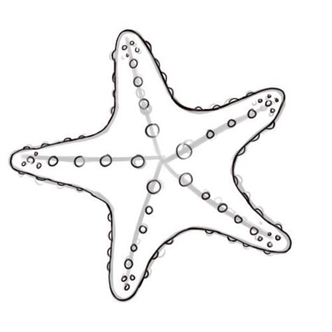 How to Draw a Starfish: 6 Steps (with Pictures) - wikiHow | Starfish ...