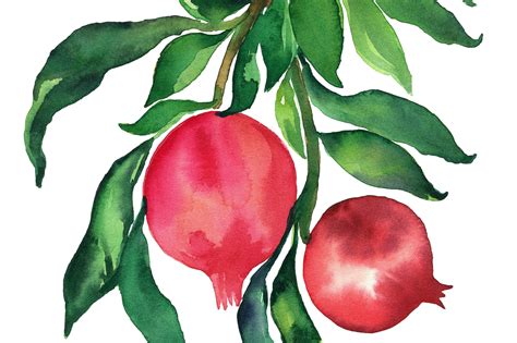 pomegranate watercolor watercolor painting pomegranate print kitchen ...