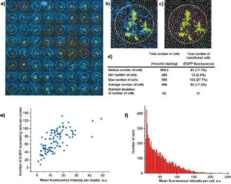 Fluorescent signal detection, automatic cell counting and ̄uorescence... | Download Scientific ...