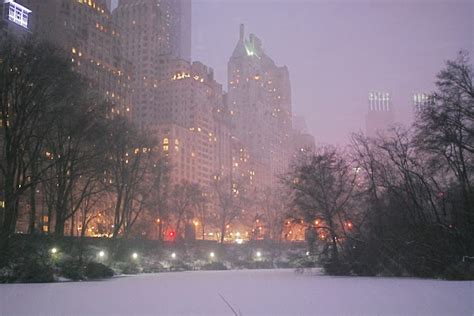 NYC ♥ NYC: Snowy Central Park