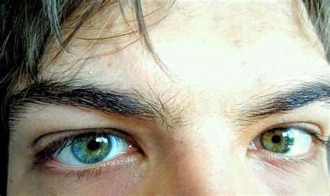 My blue-green heterochromia with central heterochromia | Blue green eyes, Blue eyes aesthetic ...