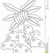 Banana Tree Coloring Page sketch template