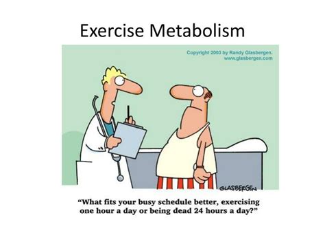 PPT - Exercise Metabolism PowerPoint Presentation, free download - ID ...