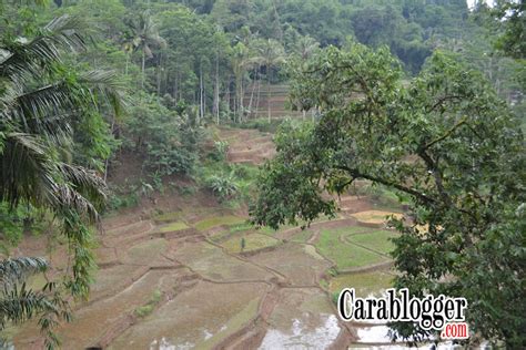 rumah adat kampung naga dan hutan larangan