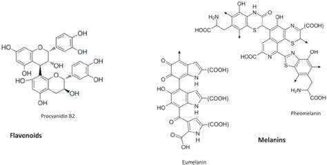 Flavonoid (procyanidin B2) chemical structure and the building block of ...