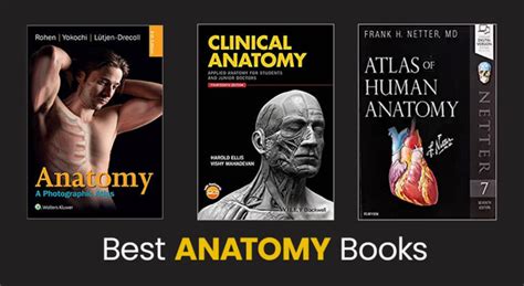 10 Best Anatomy Books For Beginners and Experts – TangoLearn