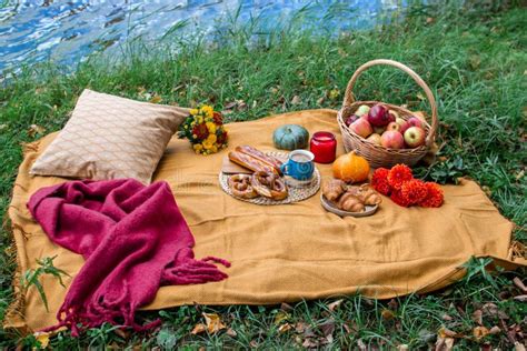 Basket with Food Bakery Autumn Picnic Stock Image - Image of country ...