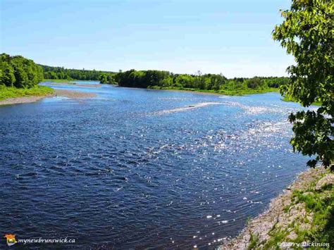 Miramichi River