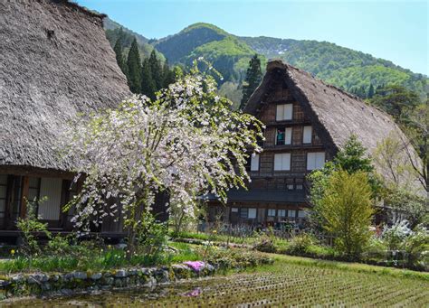 Travel to Shirakawa-go Unesco Village in Spring / May (JR Pass)