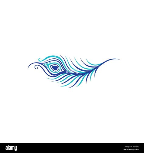 Peacock Feathers Vector. Feathers Logo Design Simple Stock Vector Image ...