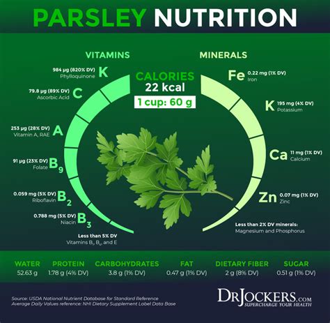 5 Amazing Health Benefits of Parsley and Recipes - DrJockers.com