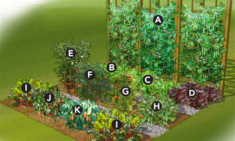 How To Make A Vegetable Garden Plan