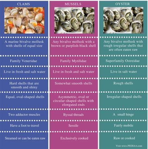 Difference Between Clams Mussels and Oysters - Pediaa.Com