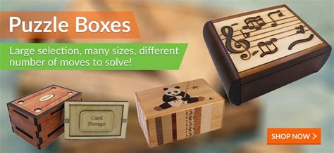 Metal & Wooden Puzzles, Brain Teasers Games for Kids & Adults | Puzzle Boxes, Educational Toys ...