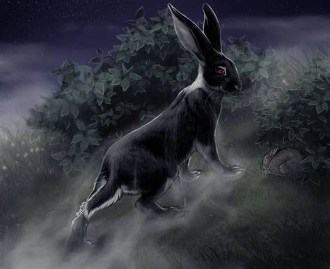 The Black Rabbit of Inle by Nyctra | Rabbit, Animals, Myths & monsters