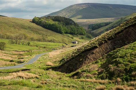 Origins: a reflective visit to the Forest of Bowland - CPRE Lancashire