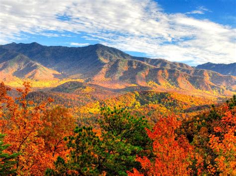 Best Fall Foliage in the US : TravelChannel.com | Gatlinburg tennessee ...