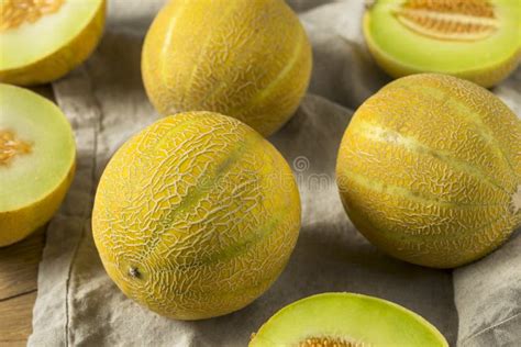 Raw Organic Lemon Drop Melon Stock Photo - Image of summer, fresh: 120139014